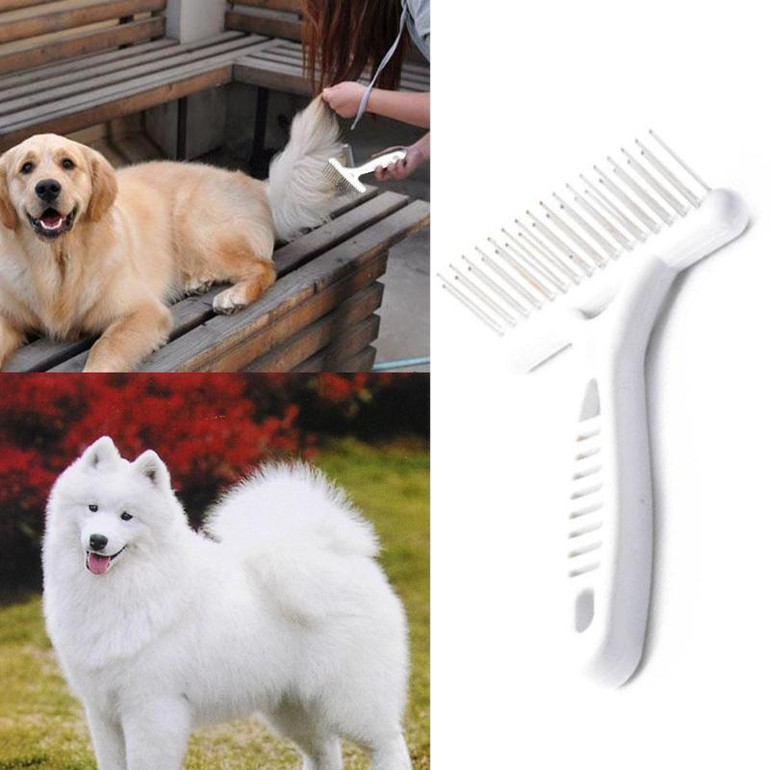 Grooming Rake Course for Pets