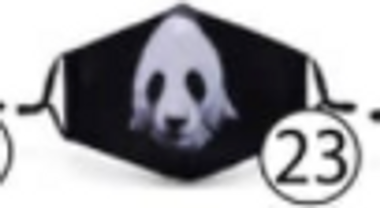 Panda Mask In Stock
