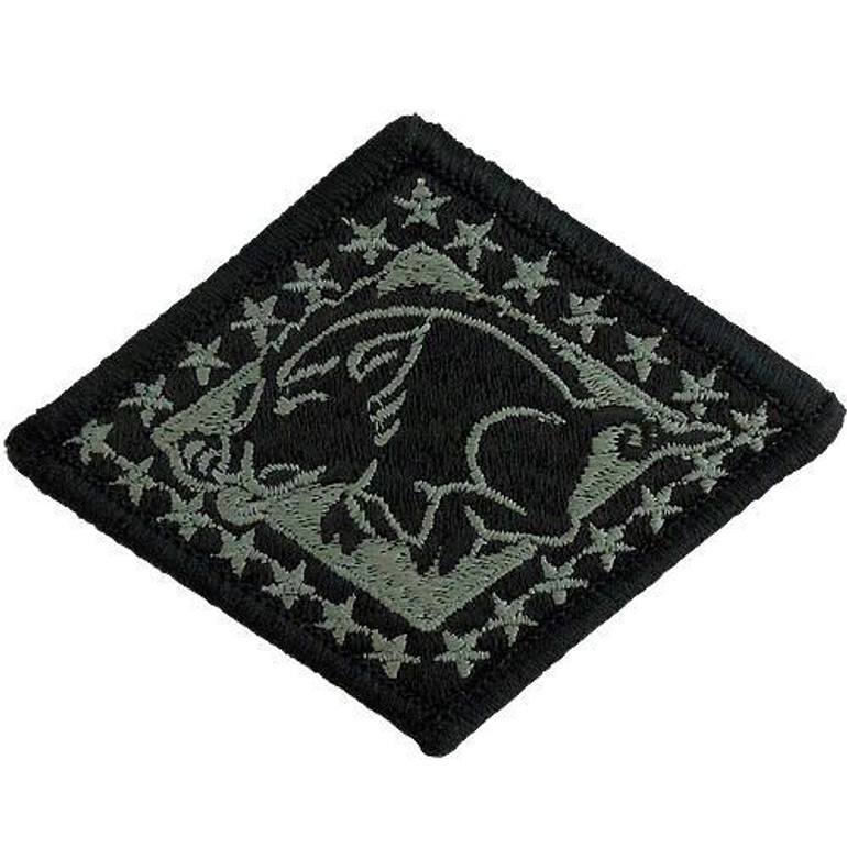 Arkansas National Guard ACU Patch