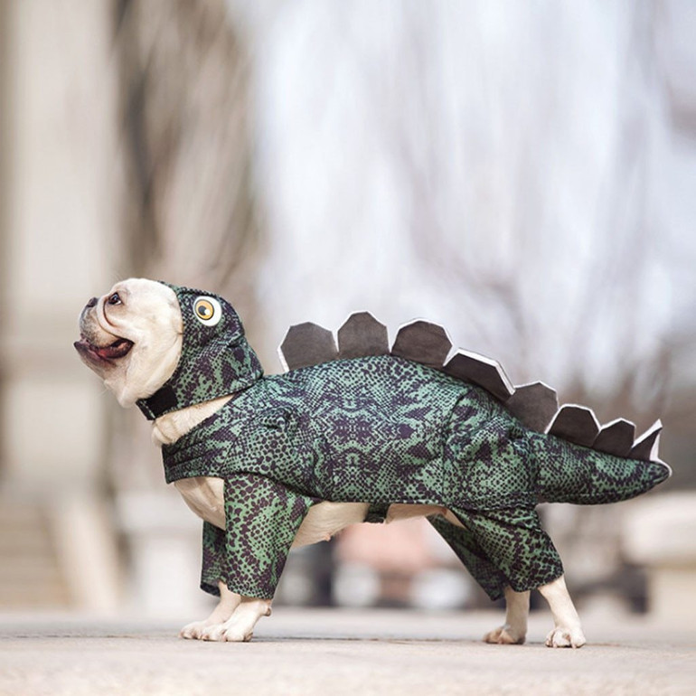 Dog Dinosaur Costume - Dog Halloween Costumes