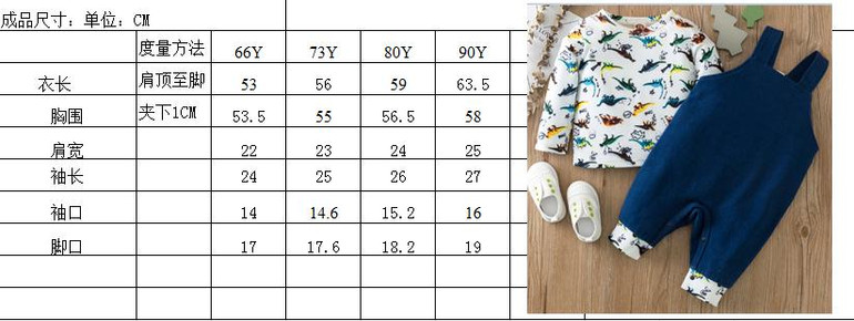 Toddler Boys Dinosaur Long Sleeve Top & Pants Boy Wholesale Clothing