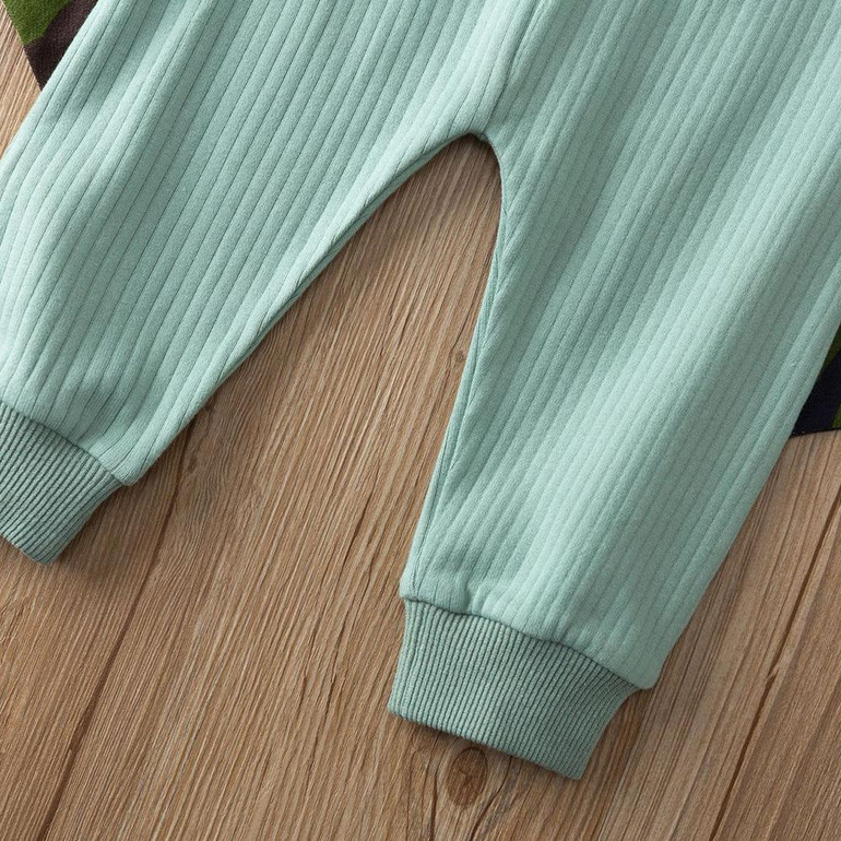 Baby Boys Dinosaur Long Sleeve Hooded Top & Pants Baby Wholesale