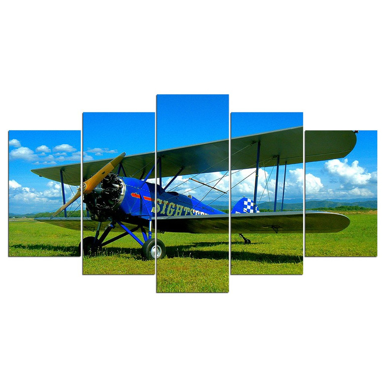 5 Pieces Wall Art Picture Plane Gift Home Decoration Canvas Print Painting Beautiful Living Room Printed