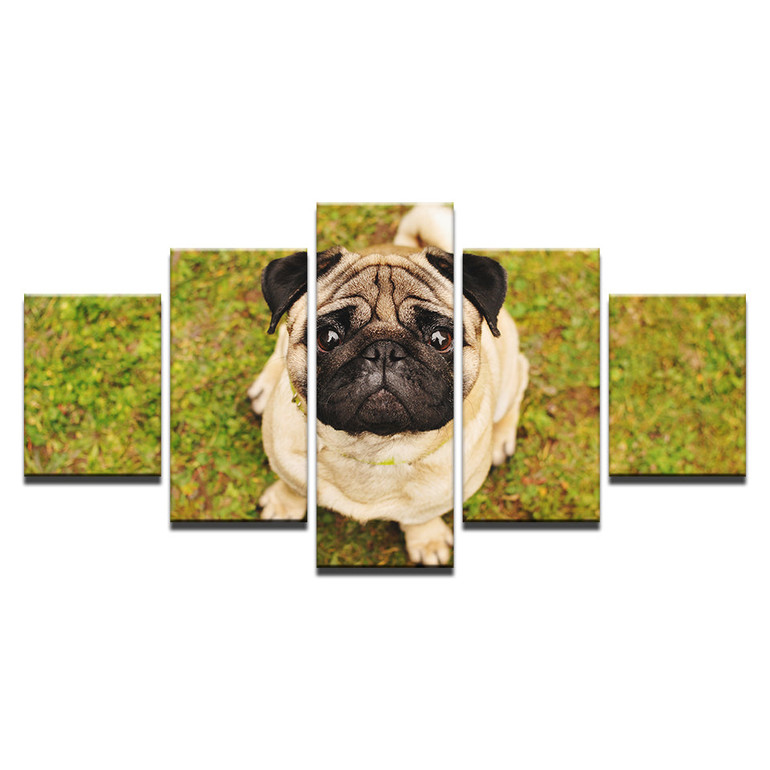 Wall Art Pictures 5 Pieces Cute Pug Puppies On The Grassland Painting HD Prints Canvas Animal Dog Poster