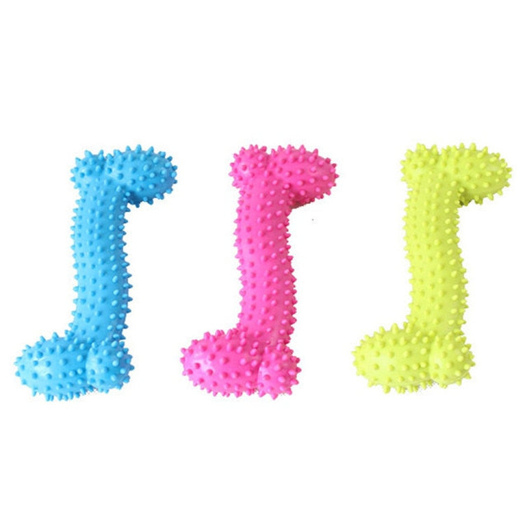 Rubber Molar Tooth Pets Toy