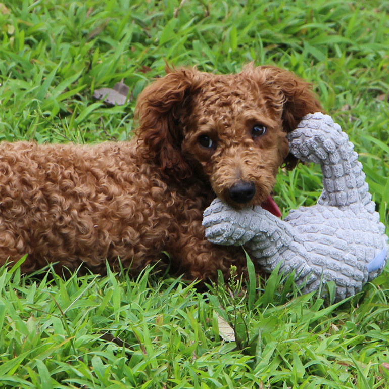 Dog Chew Toys Pet Plush Squeaky Bear