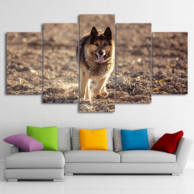 HD printed 5 Piece Canvas Art Wild Wolf Painting Wall Pictures for living room Modern Modular Free Shipping CU-2107C