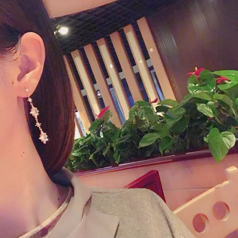 White Crystal  Drop Elegant Dangle Earrings