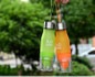 Sports Fruit Infuser Water Bottle 650ML