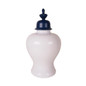 Fascinating Ceramic Covered Jar, White And Blue