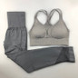 Seamless Padded Push-up Strappy Sports Bra 2 Pcs Women Fitness Yoga Set