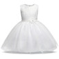 Newborn Infant Baby Dress Wedding Girls Christening Clothes 1 year birthday Princess Dresses tutu kids Dress Baby Girl clothing