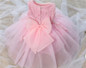 Baby Kids Party Gown Design Pageant Wedding Dresses Infant Princess Little Girls 1 Year Birthday Dress Newborn Christening Gowns