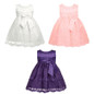 Embroidered Newborn Baby Girl Christening Dress Ball Gown Pageant Wedding Dresses Princess Little Girl 1ST Birthday Party Dress