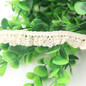 New 2Yard/Lot 15MM White And Beige Handmade Patchwork Cotton Material Elastic Lace For Home DIY Sewing Wedding Crafts Decoration