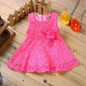 Summer 2016 Brand Baby Dresses Girl Princess Dress Flower Toddler Infant Newborn Baby Girls Party Wedding Dress Baby Lace Dress