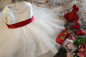 Baby Girls Christening Dresses Clothes For Princess First Birthday Girl Party Dress Newborn Baby KidsClothes Infant Clothing
