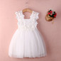 Baby Girl Princess Lace Tulle Flower Fancy Backless Gown Formal Party Dress 2-7Y