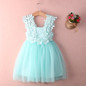 Baby Girl Princess Lace Tulle Flower Fancy Backless Gown Formal Party Dress 2-7Y