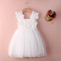 New XMAS Baby Girls Party Lace Tulle Flower Gown Fancy Dridesmaid Dress Sundress Girls Dress
