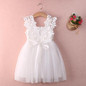 New XMAS Baby Girls Party Lace Tulle Flower Gown Fancy Dridesmaid Dress Sundress Girls Dress
