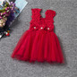 New XMAS Baby Girls Party Lace Tulle Flower Gown Fancy Bridesmaid Dress Sundress Girls Dress Little Girl Princess Tutu Gown