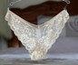 AQ247 High Quanlity Women Lingerie Seamless Panties Transparent Sexy Lace Calcinha Women's Briefs Panty Underwear Plus Size