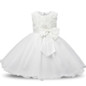 Ai Meng Baby Flower Princess Girl Dress Wedding First Birthday Newborn Baby Baptism Clothes Toddler Kids Party Dresses For Girls