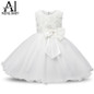 Ai Meng Baby Flower Princess Girl Dress Wedding First Birthday Newborn Baby Baptism Clothes Toddler Kids Party Dresses For Girls