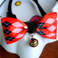 Adjustable Dog Cat Pet Cute Bow Tie With Bell Puppy Kitten Necktie Collar VB338 P0.16
