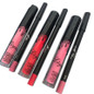 liquid matte lasting waterproof lipstick lips pencil makeup Mate lip gloss cosmetics lip kit