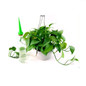Practical 4pcs/lot Garden Cone Watering Spike Plant Flower Waterings Bottle Automatic Irrigation System Garden Supplies