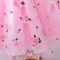 Retail Little Flower Girl Dresses With Rose Tulle Princess Dresses Elegant Gown Evening Dress For Kids Girl Free Shipping L619