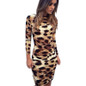 Casual Autumn Leopard 2017 Dress Women Long Sleeve Sexy Summer Dress Sheath Bodycon for Woman Clothes Evening Party Vintage