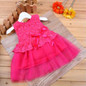 2016 Princess Baby Dress Lace Flower Sleeveless Baby Girl Dress Party Wedding Baby Costume Newborn Baby Girls Clothing New Year