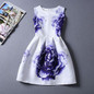 2017 New Summer Casual Dresses Women Sleeveless Vest Dress Lady Floral Print O Neck A Line Party Short Slim Dress Vestidos