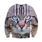 2016 New Fashion Tracksuit 3D Sweatshirts Blue Eyed Cat Printed Sweatshirt Men/Women Harajuku Hoodies Colegial Clothing