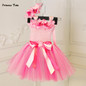 Princess Baby Girl Dress Pink Tulle Tutu Dress Flowers Newborn Toddler Christening Gown Baby Dress For Party Birthday Wedding