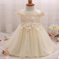 New Flowers Pearls Baby Girls Party Dress Toddler Girl Birthday Dress Kids Princess Wedding tutu Dress Baby Christening Clothing