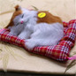(YNYNOO) Lovely Simulation Animal Doll Plush Sleeping Cats Toy with Sound Kids Toy Birthday Gift Doll Decorations stuffed toys