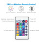 LED strip lights with remote control