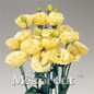 Eustoma grandiflorum seeds 100pcs Flowers seeds Lisianthus Home Garden Bonsai Plants Free shipping