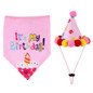 Pet Birthday Party Costume