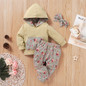 Baby Girls Floral Printed Hooded Long-Sleeve Top & Pants & Headband Baby Wholesale