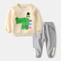 Boys Cartoon Aniaml Dinosaur Pattern Top & Pants Little Boy Boutique Wholesale