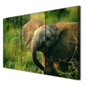 3 Panels Canvas Art Nature Baby Elephant Home Decor Wall Art Painting Canvas Prints Pictures for Living Room Poster