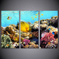Wall Art Poster 3 Pieces Marine Fish Coral Dolphin Canvas Printed Painting Modular Pictures