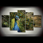 Modern Canvas Pictures HD Printed Wall Art 5 Pieces Animal Elegant Peacock Painting Poster