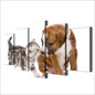 HD Printed 5 Piece Canvas Art Cute Dog Kiss Cat Painting Wall Pictures