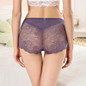Women's Sexy Lace Transparent High Waist Bottom
